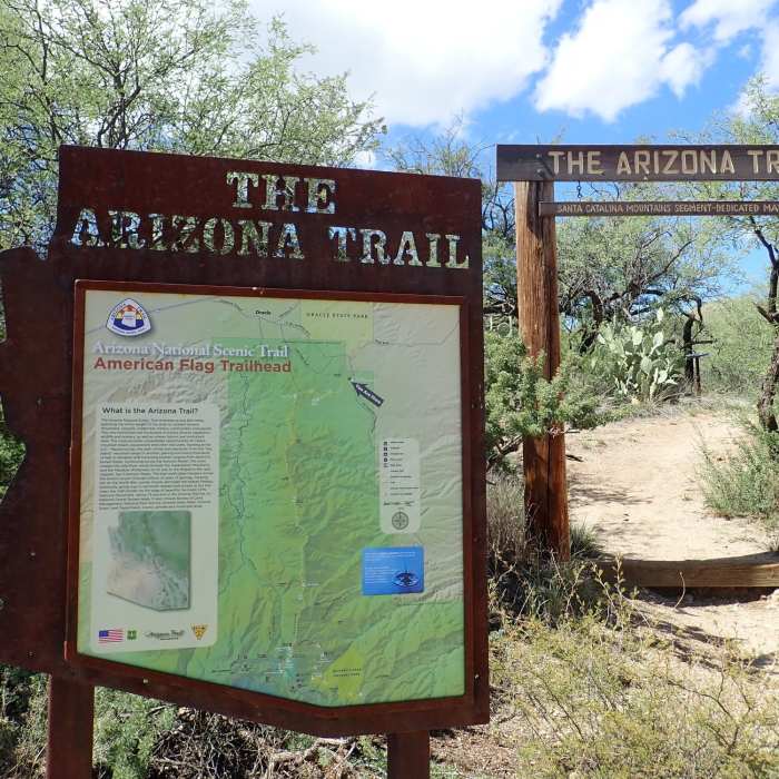 Near Oracle State Park 15.8 loop/trail