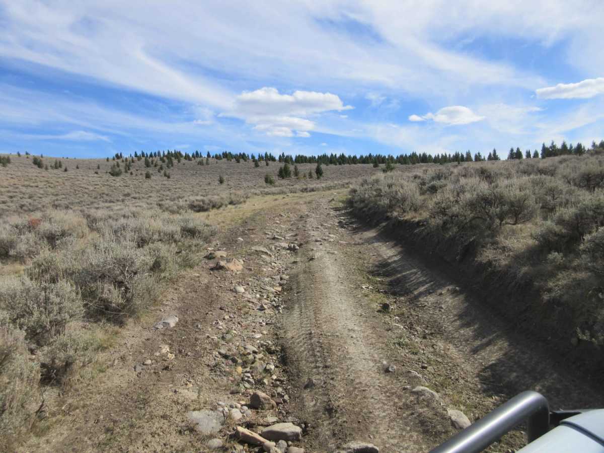 Cottonwood Creek - FS8337 photo 4