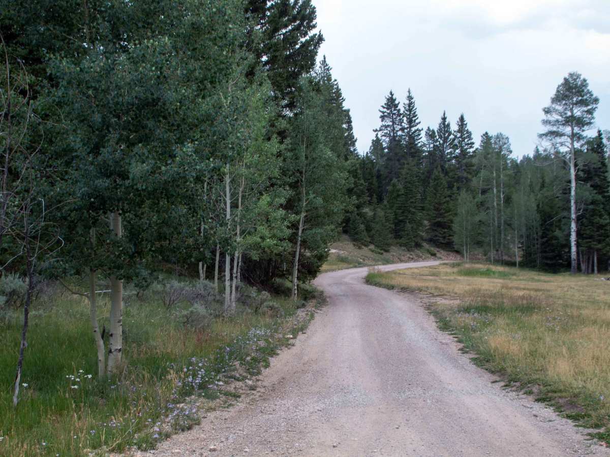 Kane Hollow - FS 10249 photo 6