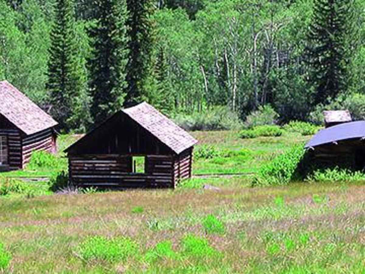 Taylor Pass photo 4