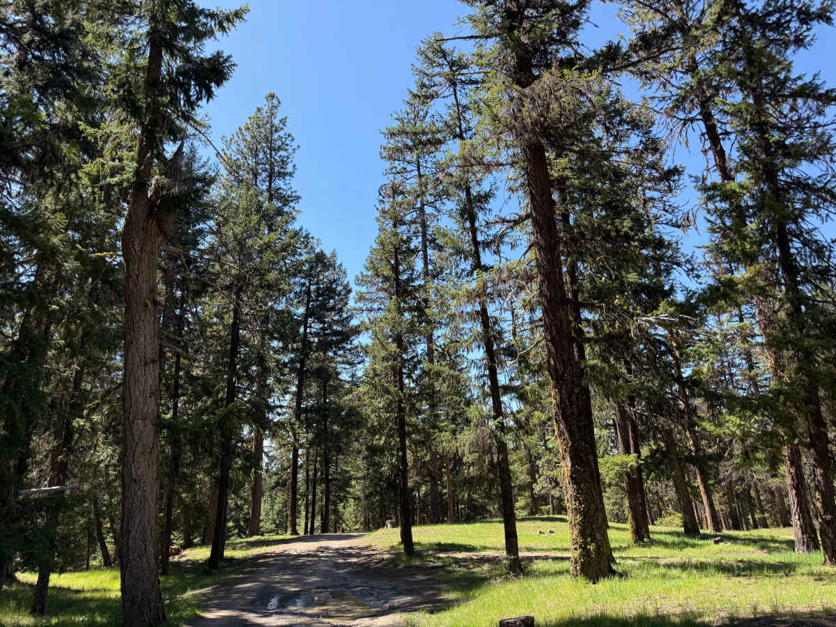 Pine Creek Road photo 4