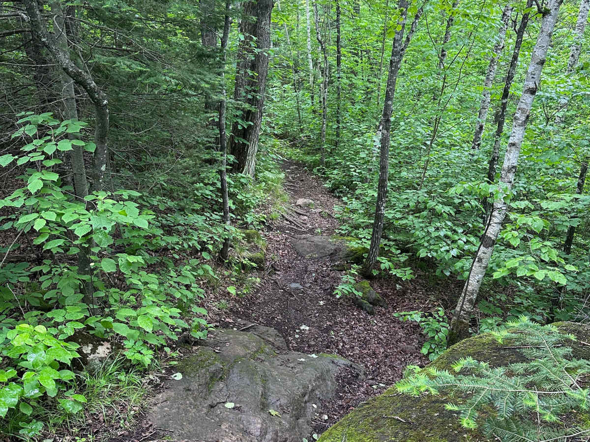 Alger Grade - Trail 6 photo 2