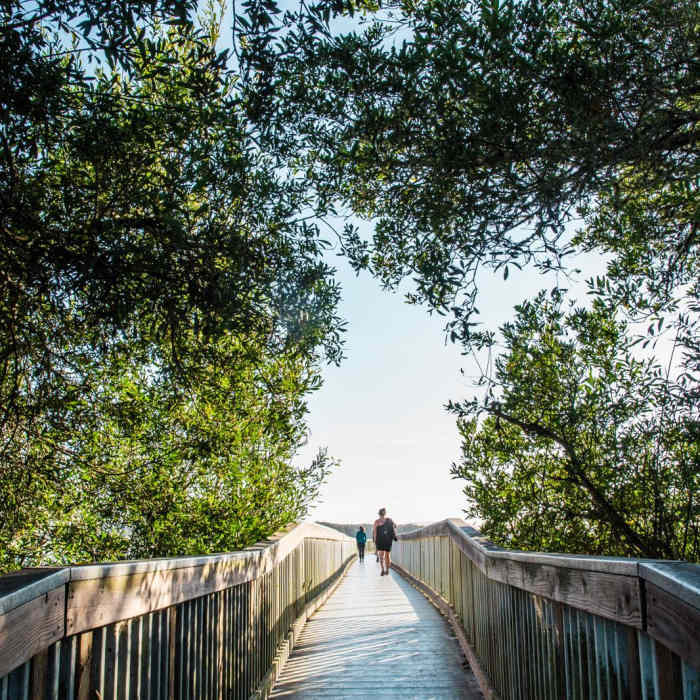 Near Oso Flaco Lake Trail Near Oso Flaco Lake Trail