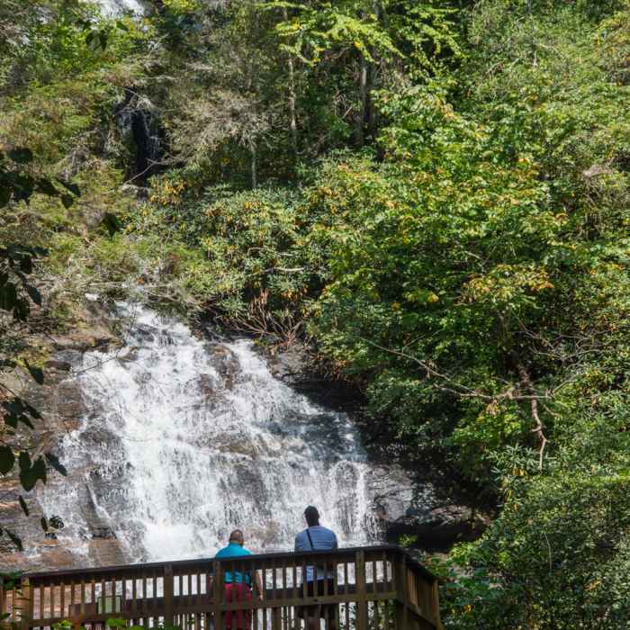 Near Anna Ruby Falls Trail #15