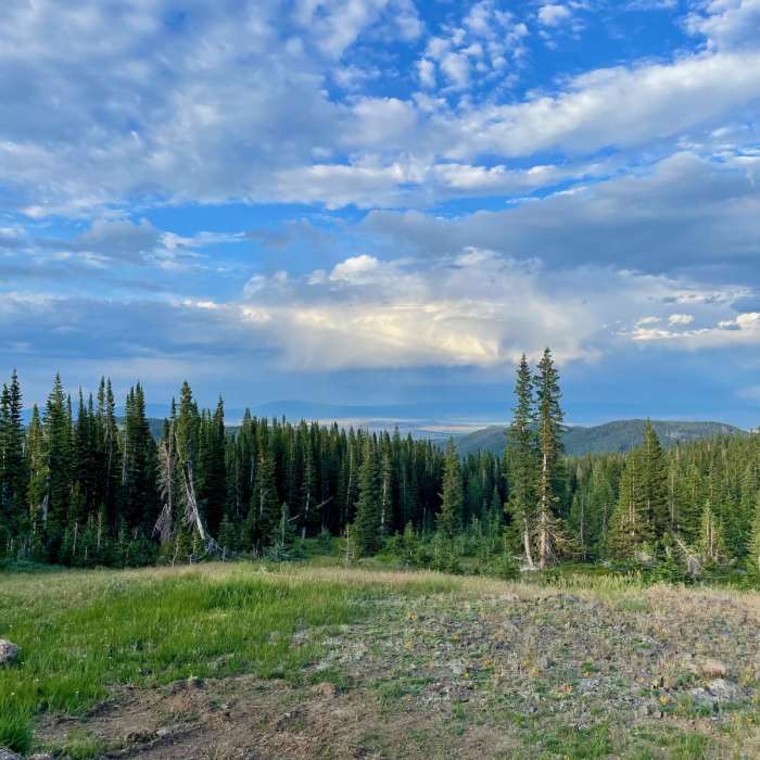 Near Continental Divide Trail: Wyoming Section 2