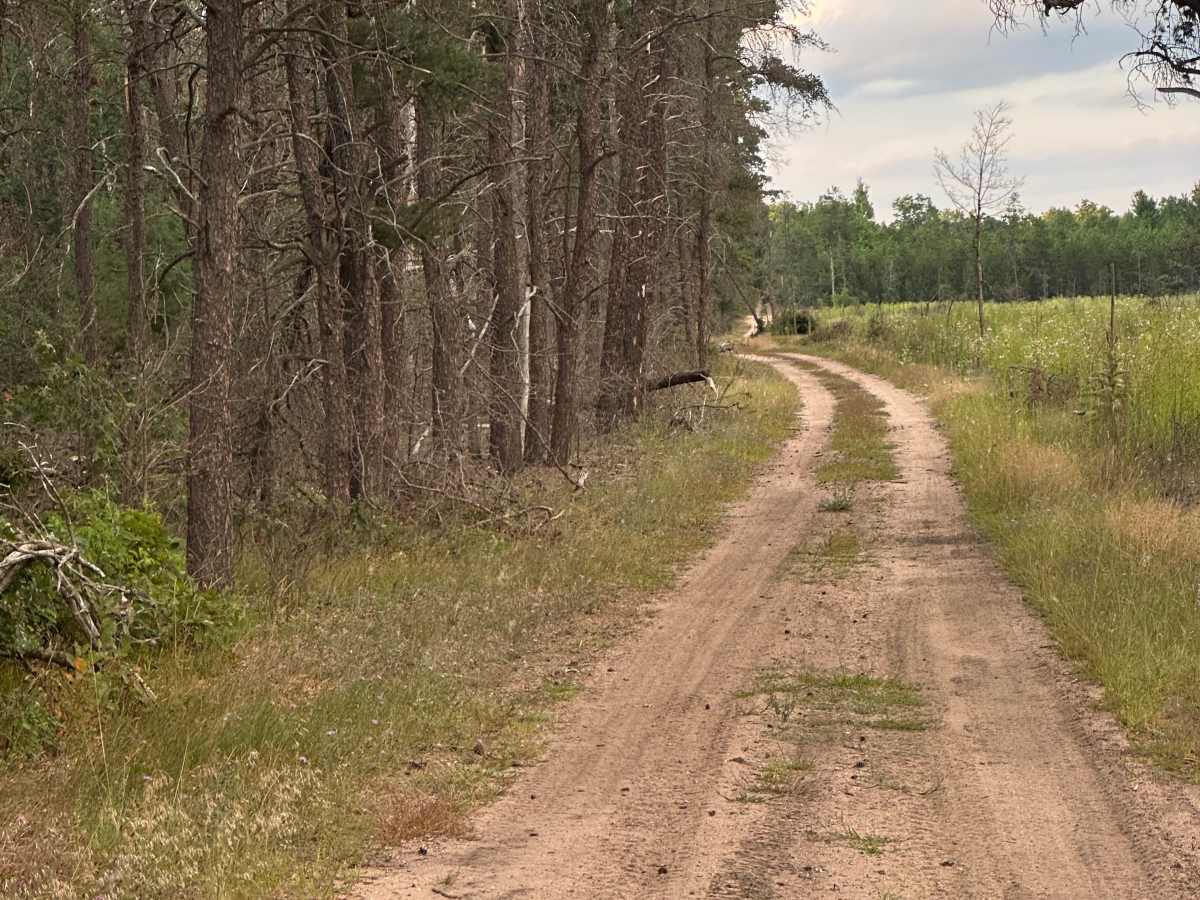 McKinley Road photo 3