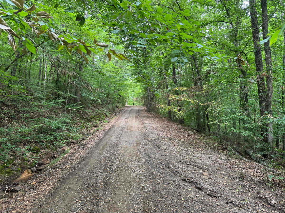 County Road 88 photo 5