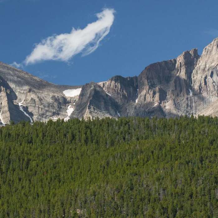 Near Lily Lake Loop Hike