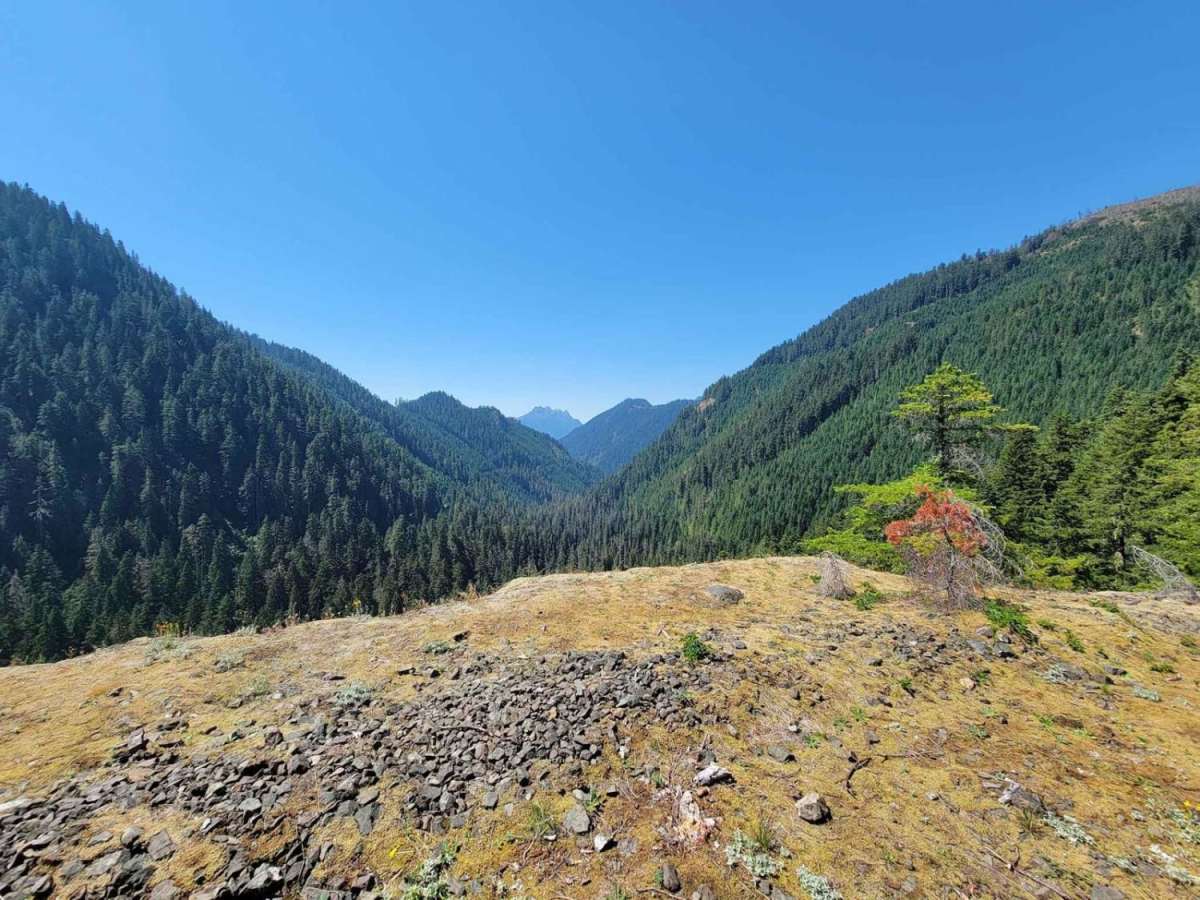 Hamma Hamma Trail with View of The Brothers photo 6