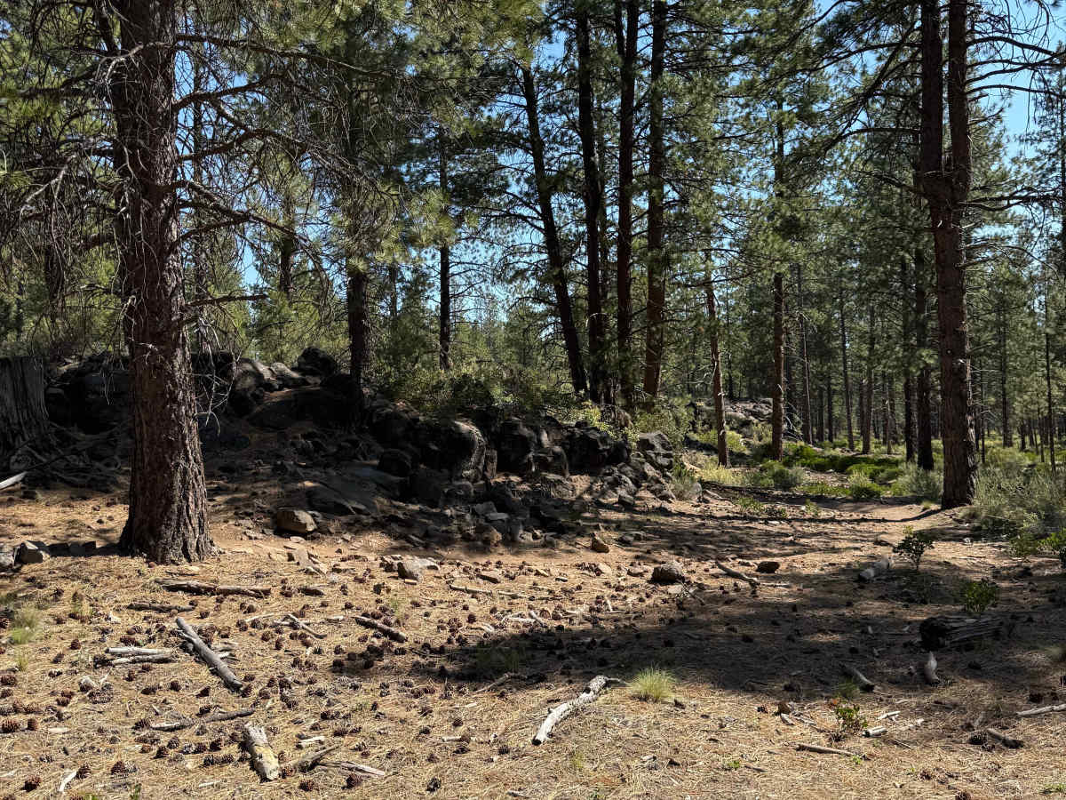 Big Burn Road photo 4