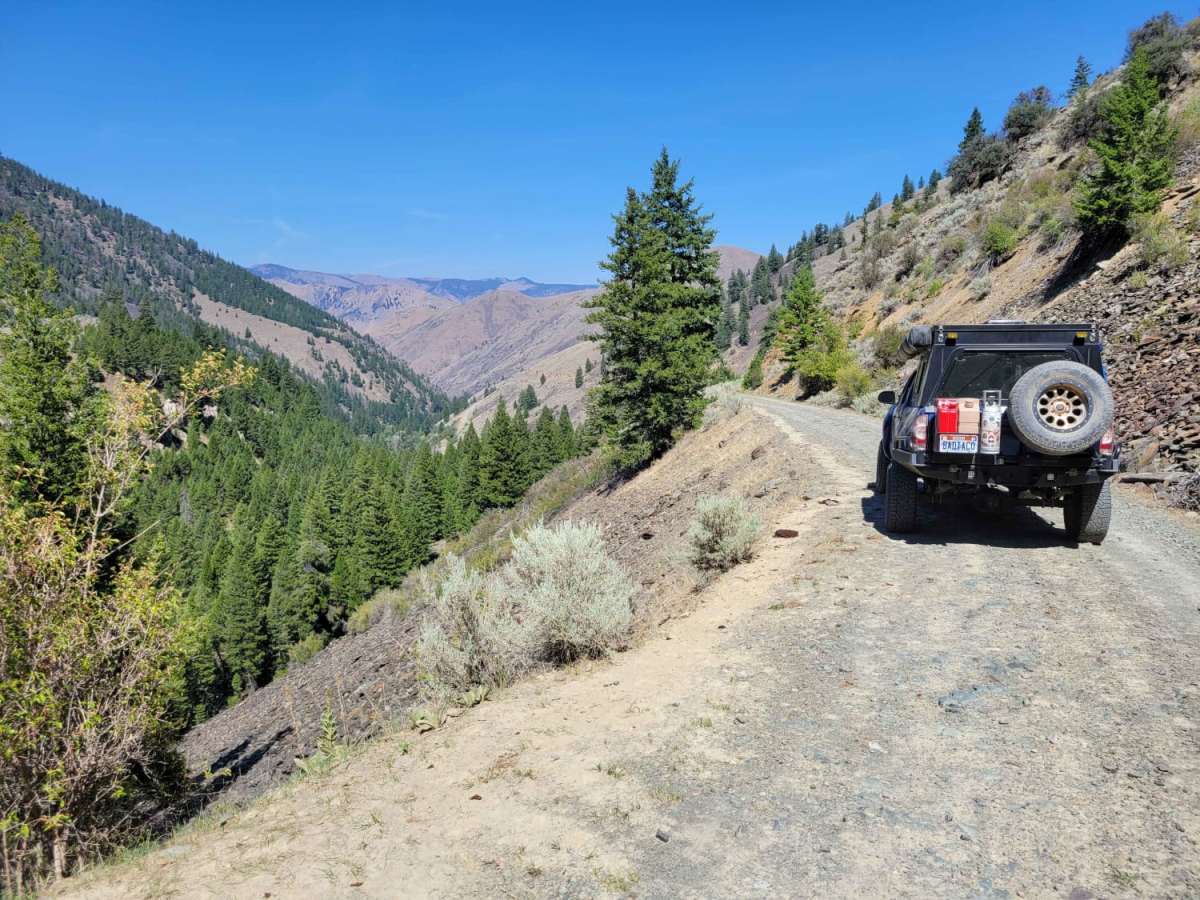 Into The Salmon Forest trail photo
