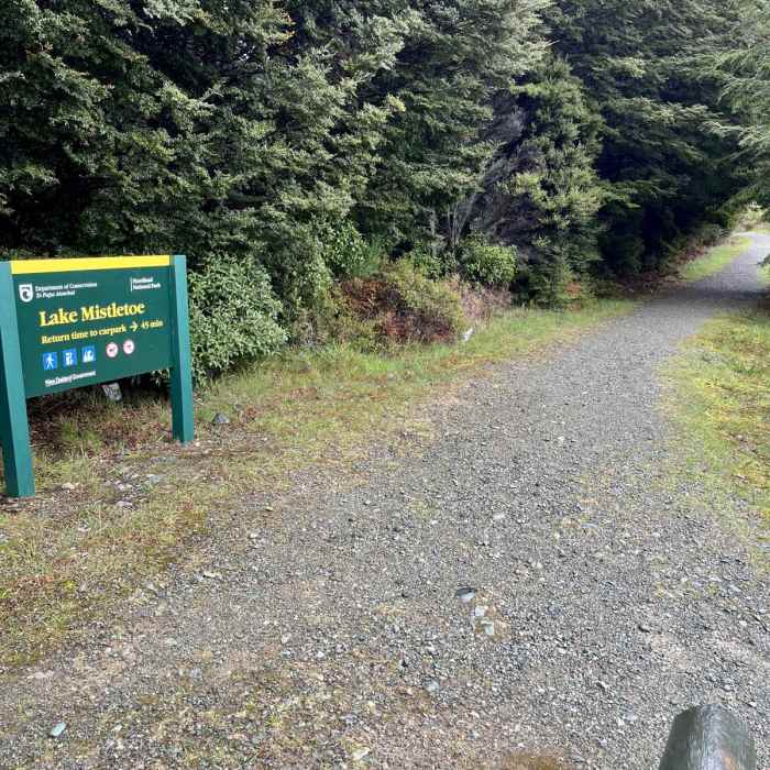 Near Lake Mistletoe Track Near Lake Mistletoe Track