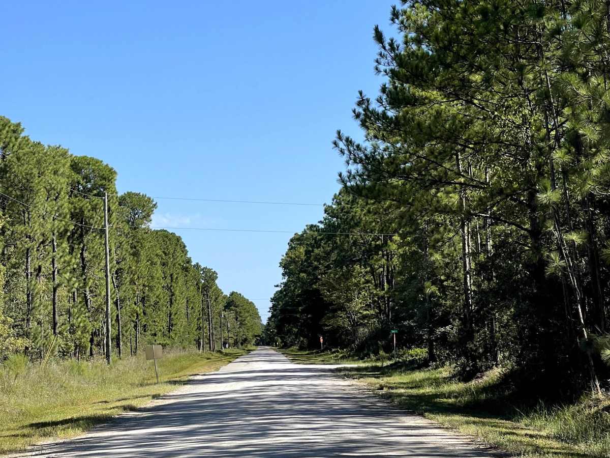 Juniper Road photo 2