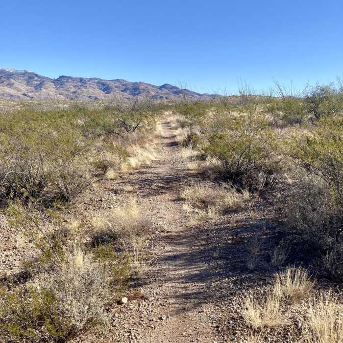 Near Hohokam Trail