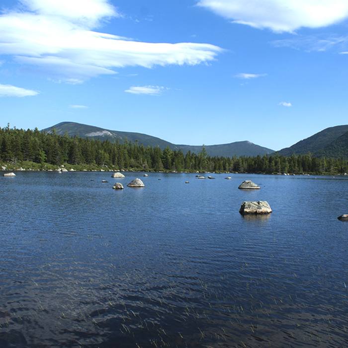 Near Wassataquoik Lake