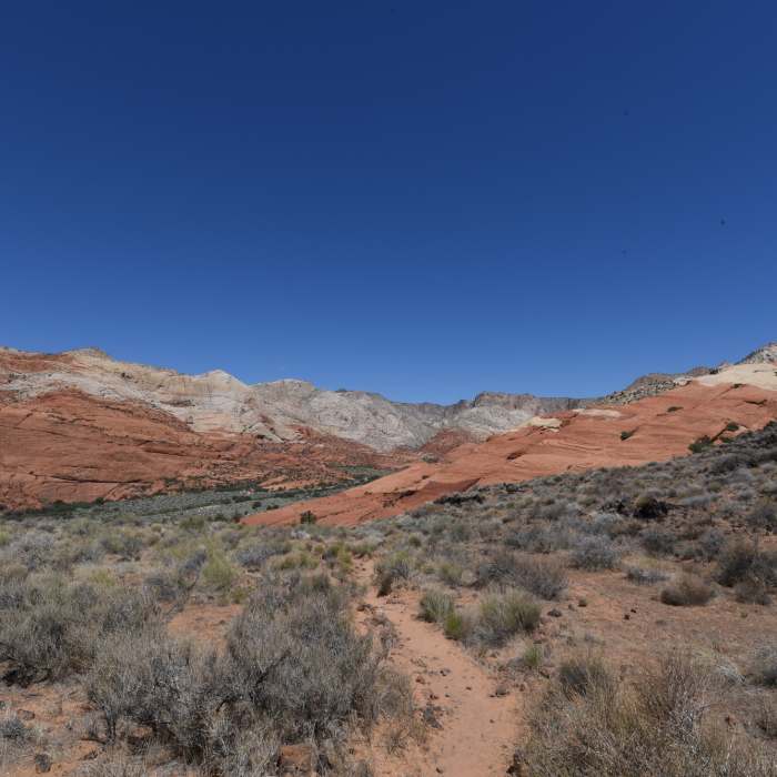 Near Hike the Whiterocks Trail