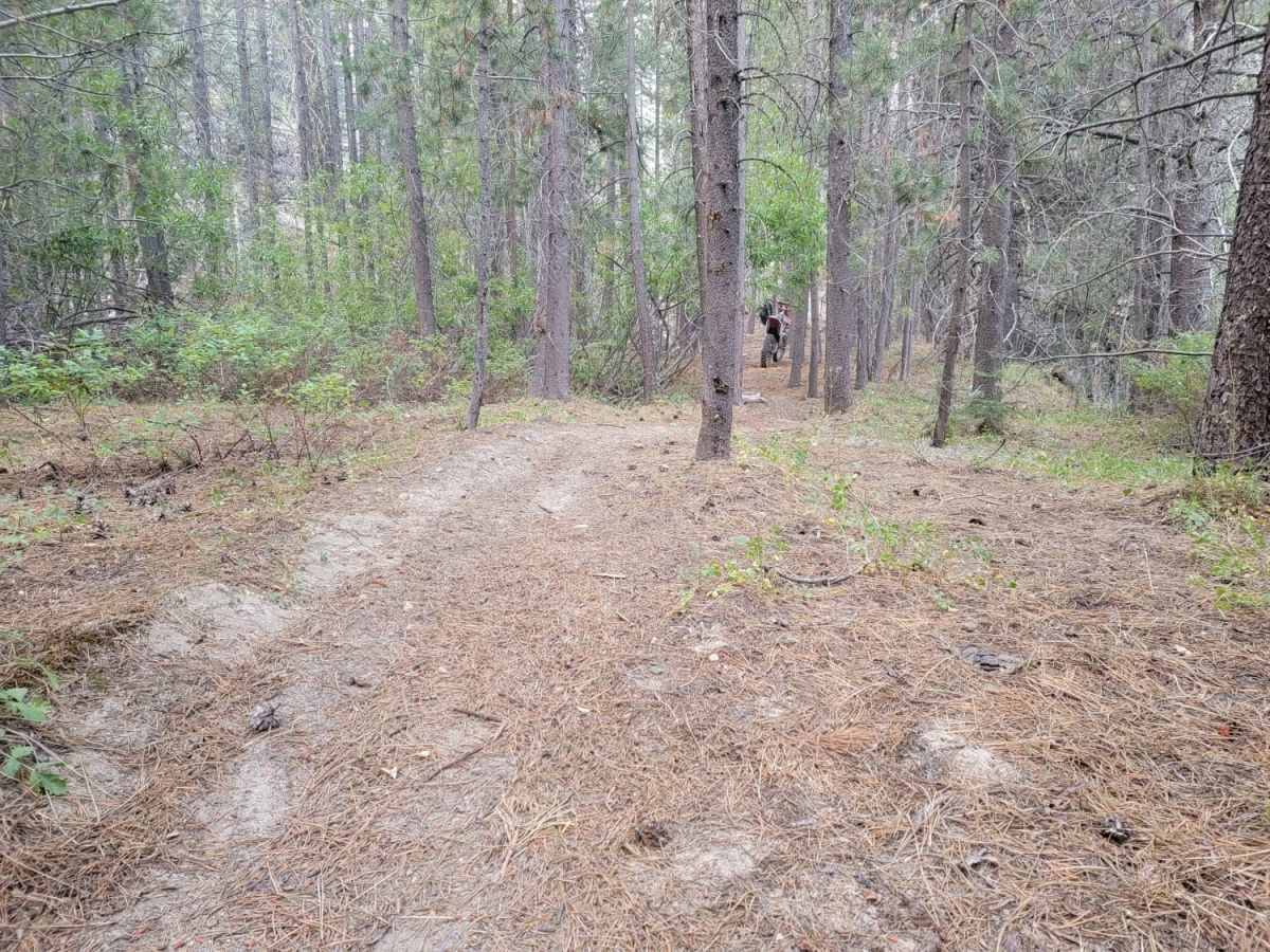 Janesville Singletrack photo 2