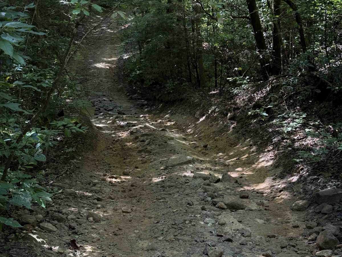 Tram Branch Trail photo 3
