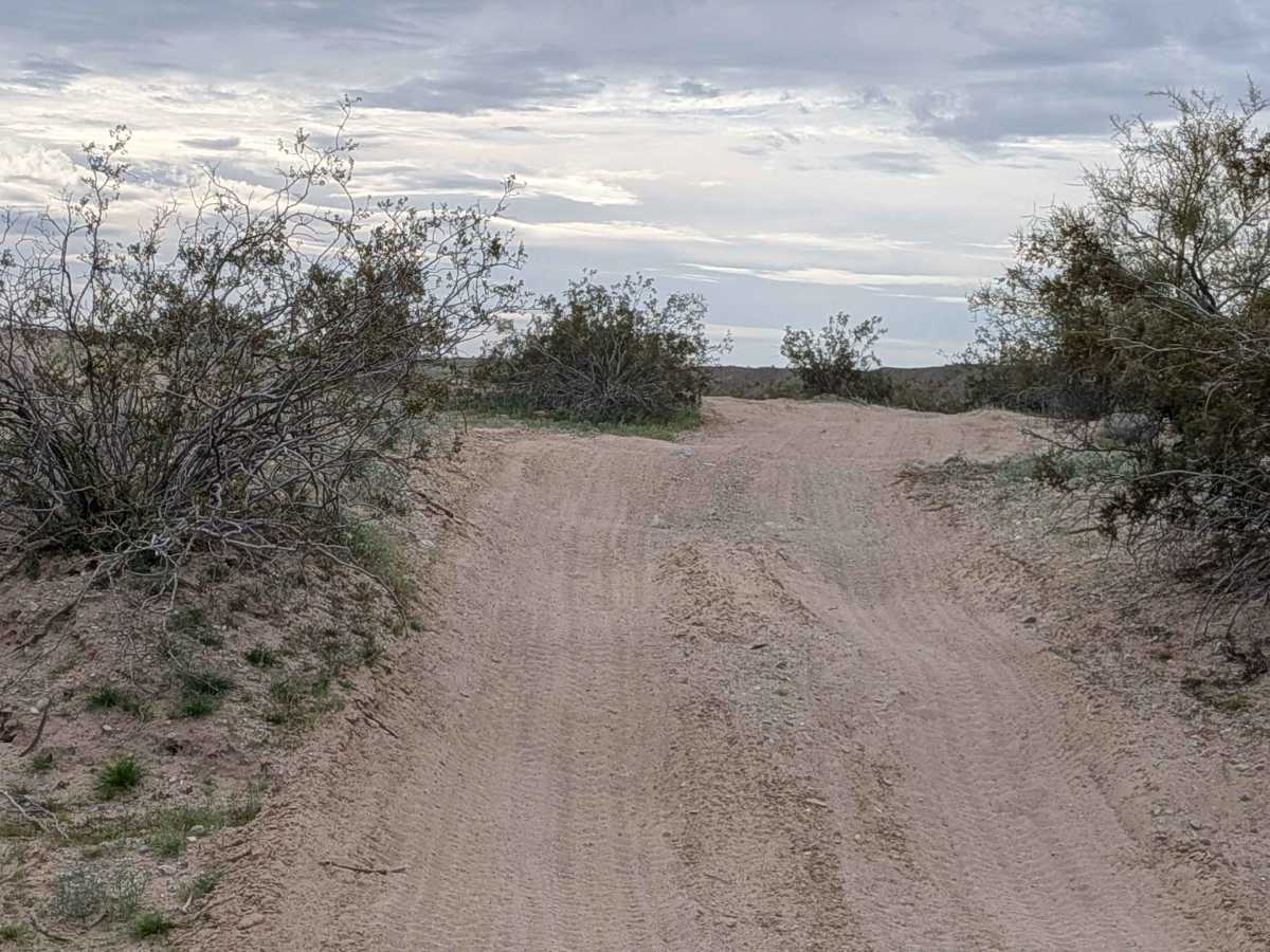 EC1233 photo 3
