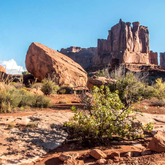 Near Park Avenue Trail