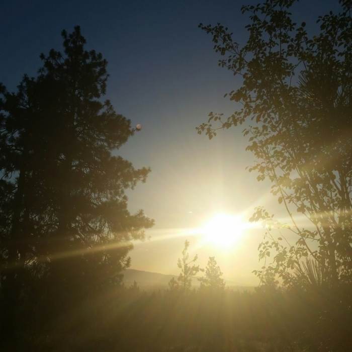 Near Best of the Dishman Hills Natural Area