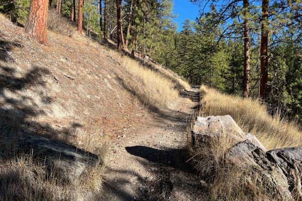 Edith Peak Trail 42