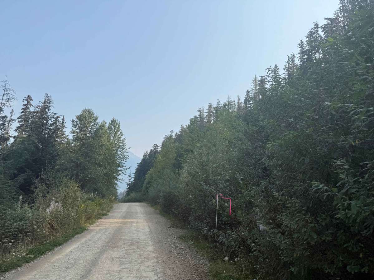 Cranberry Forest Service Road photo 4