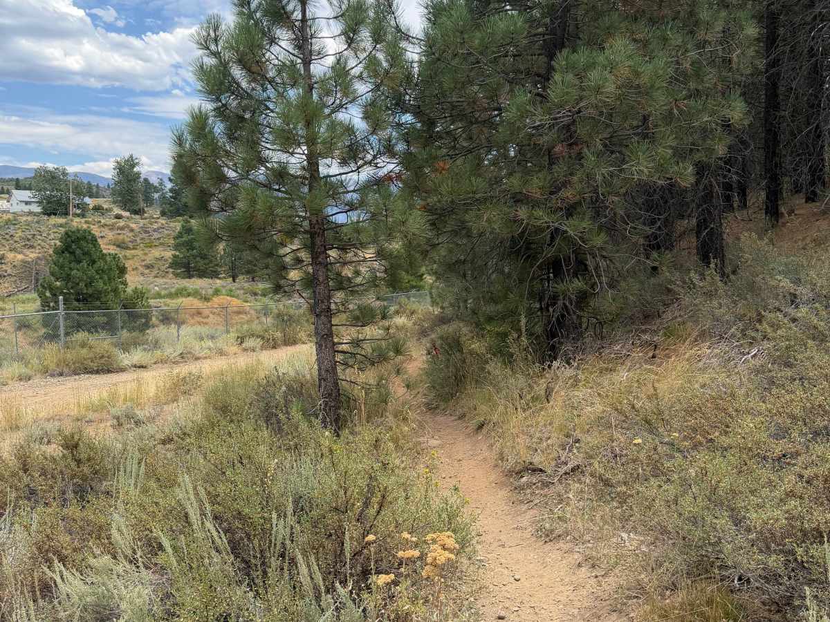 #7 trail photo