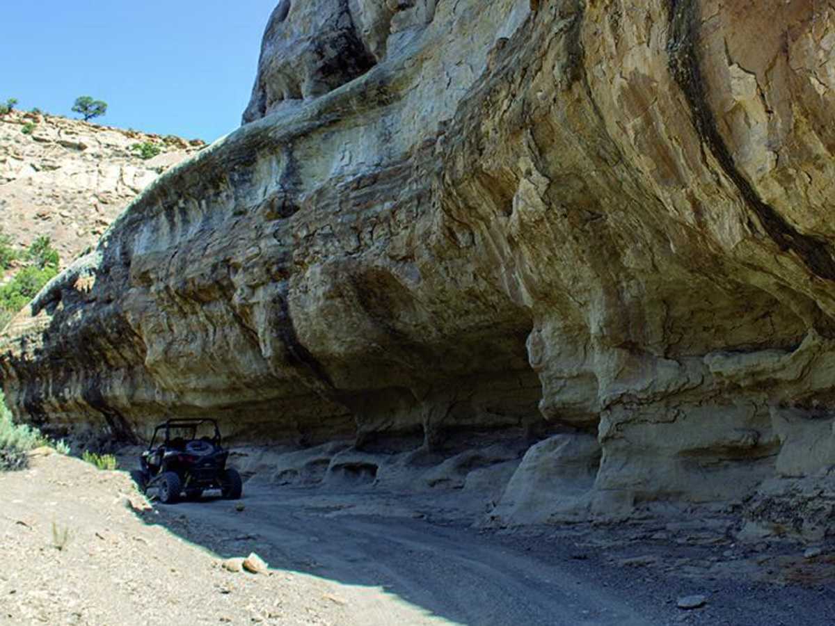 Coal Canyon photo 5