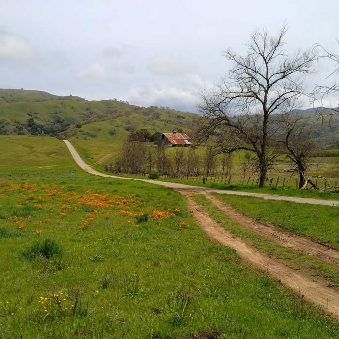 Near Bay Area Ridge Trail: Joseph D. Grant County Park
