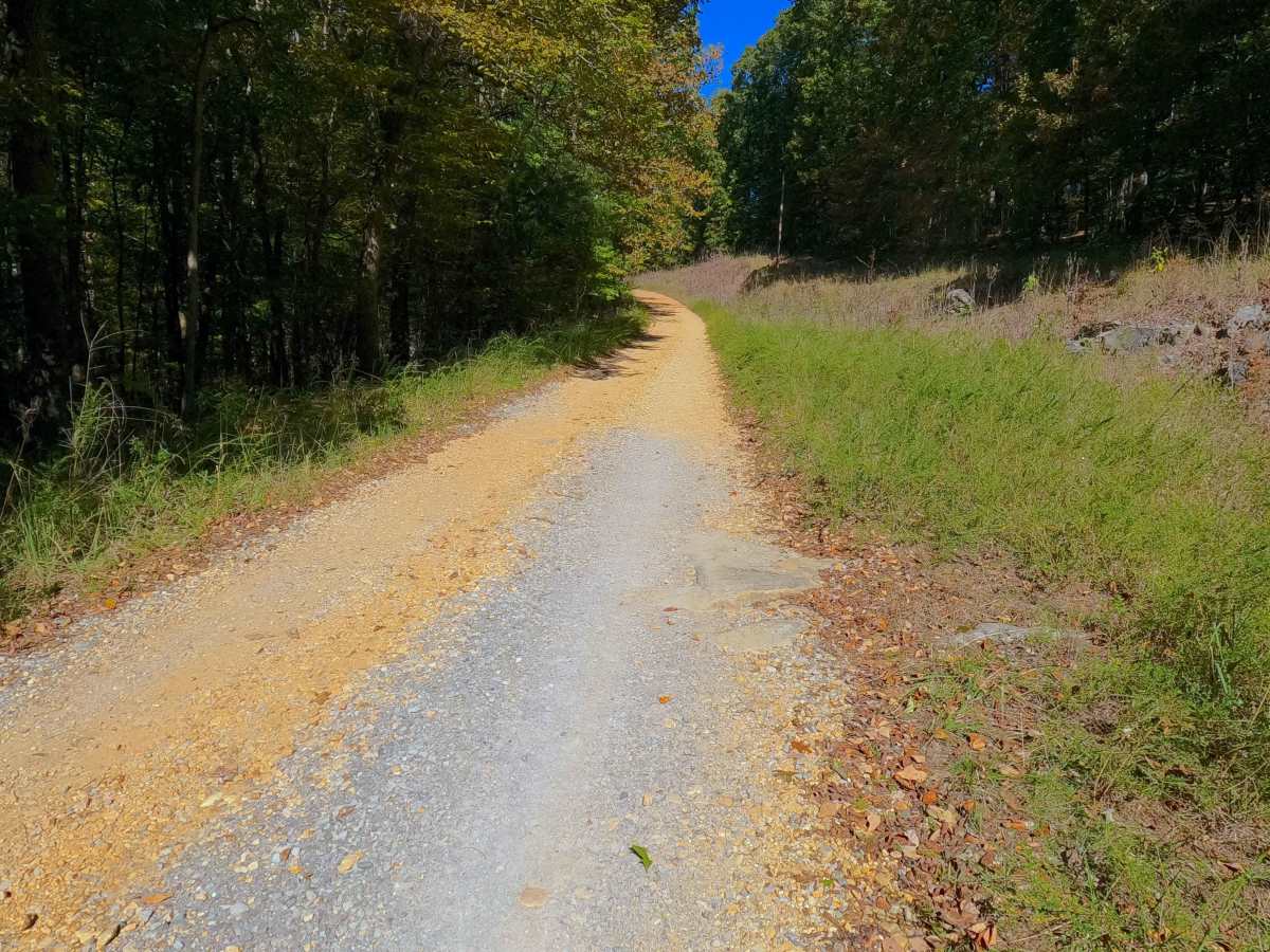 Shaw Branch - FS 154 photo 5