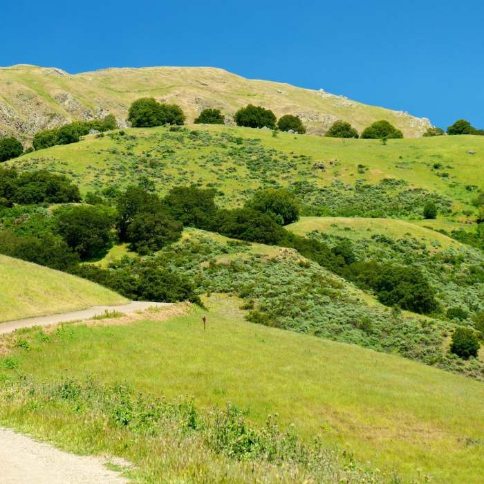 Near Peak Meadow Trail