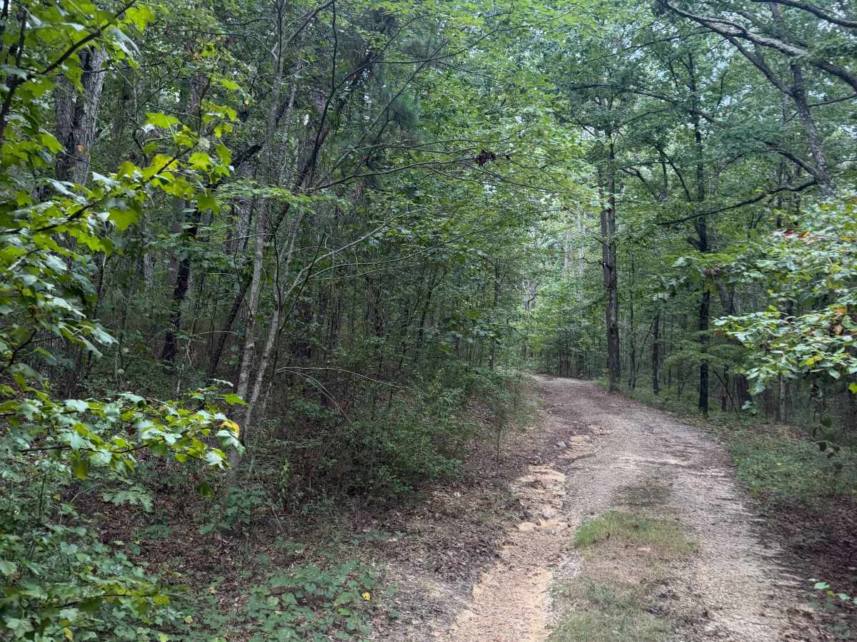 Maumelle photo 4