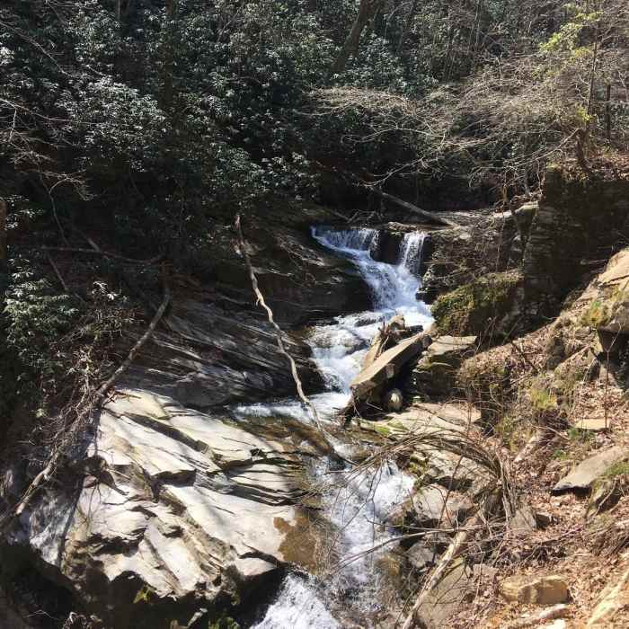 Near Catawba Falls Trail