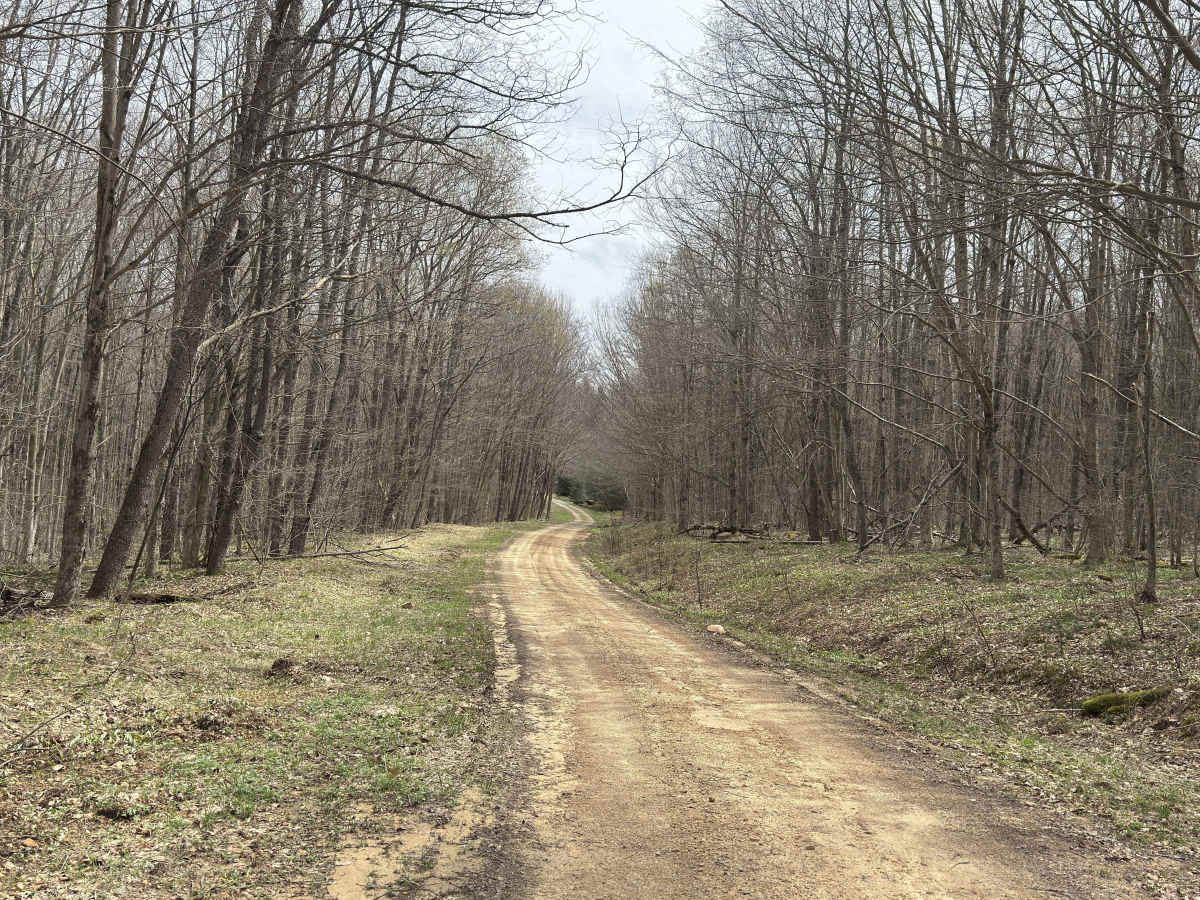 East Bucklick - FS 435 photo 4