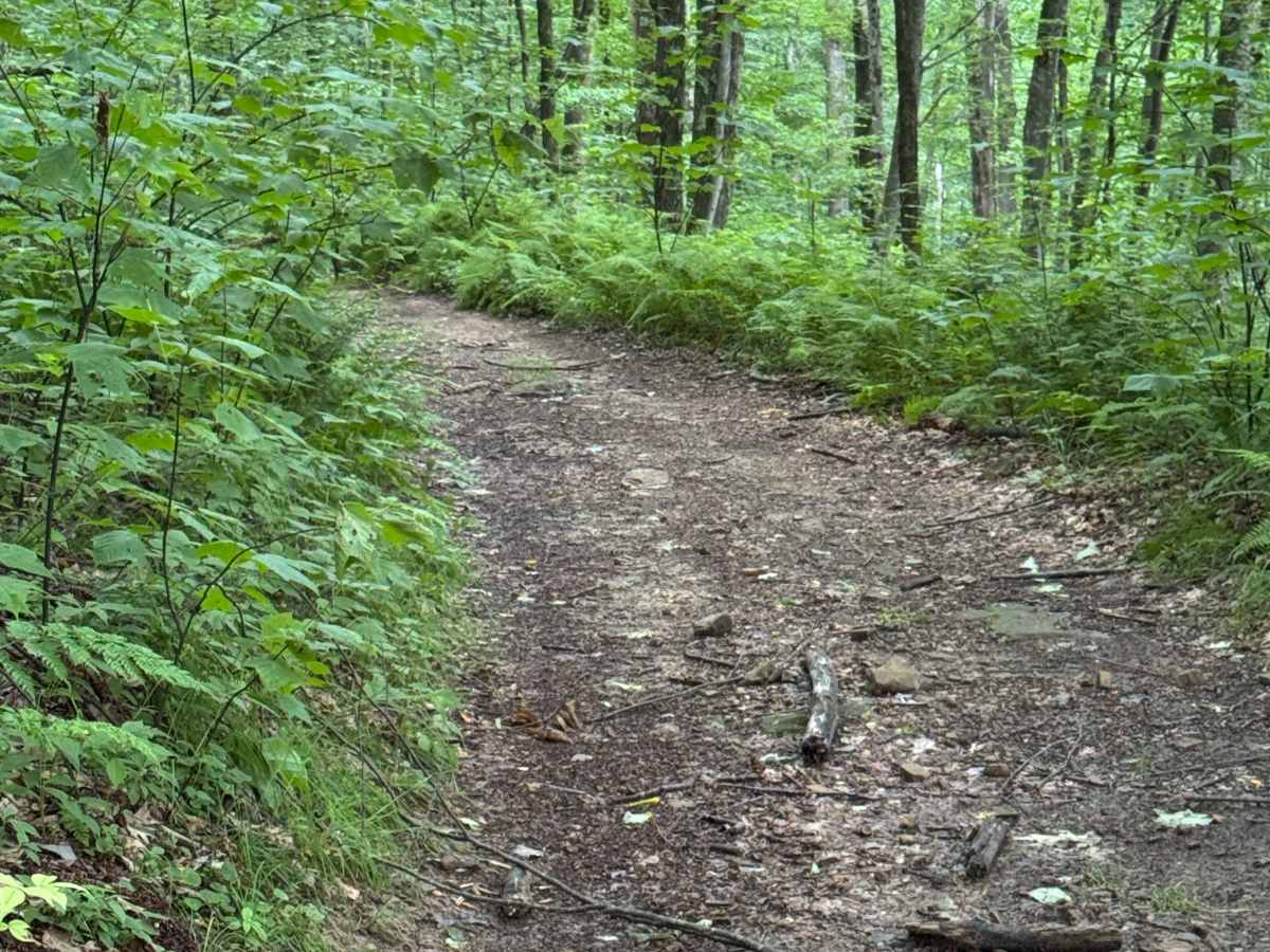 Trail 28 photo 3