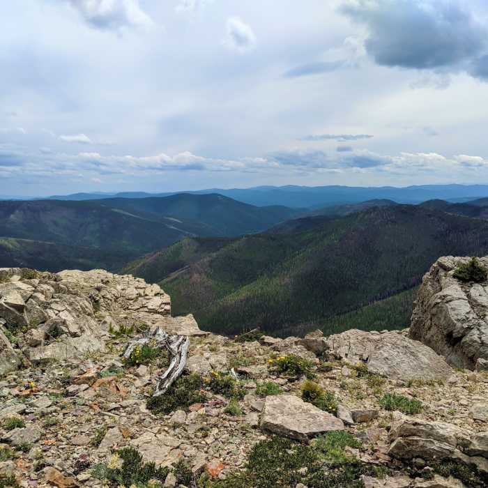 Near Montana Trail Section 4