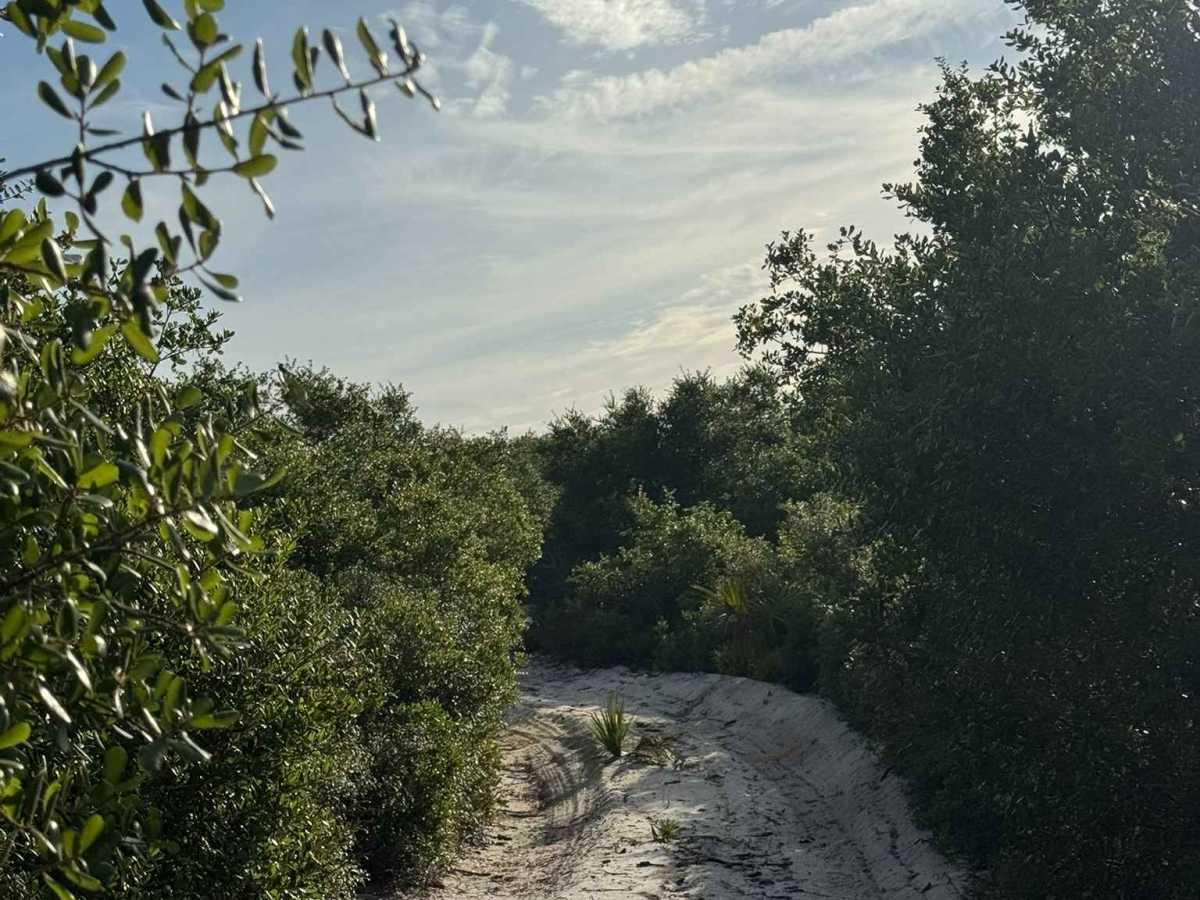 Sand Maze Trail trail photo