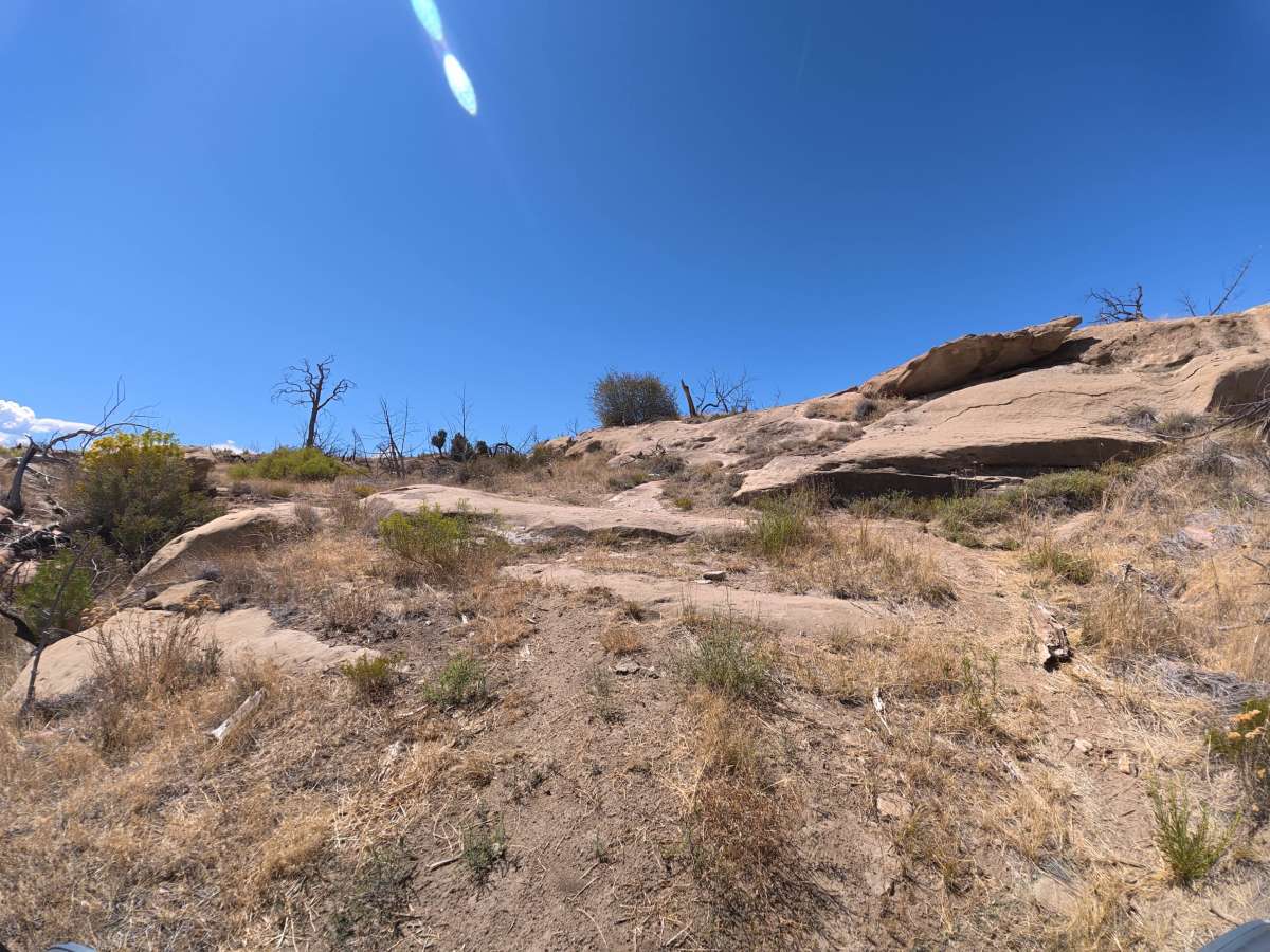 BLM 287 photo 2