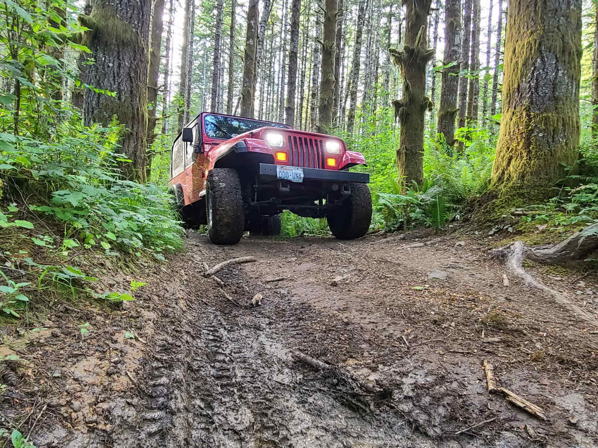 Capitol Forest Tour photo 2