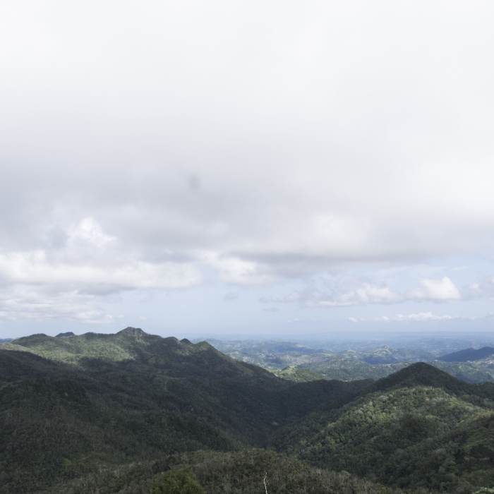 Near Monte Guilarte Trail