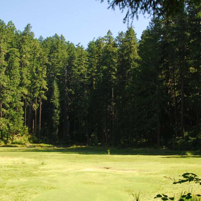 Near Alder Flats Hike + Campsites