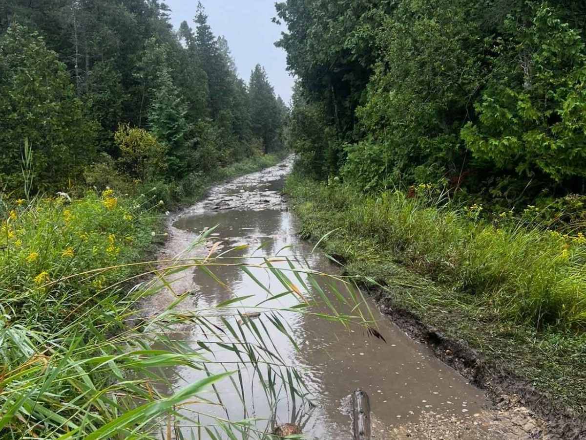 Dave Lauer Memorial Trail photo 3