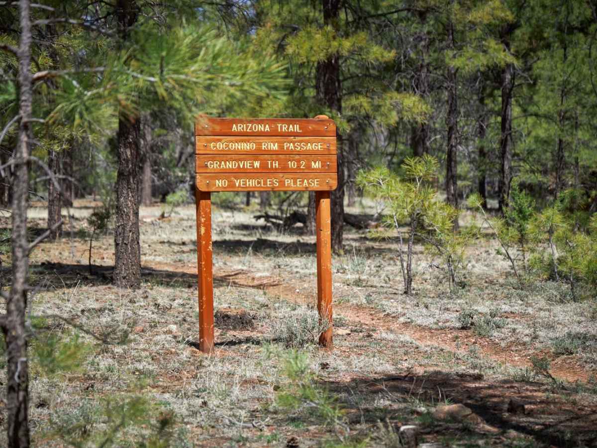 Rim Trail Road trail photo