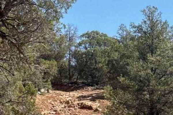 67 White Mountain Road