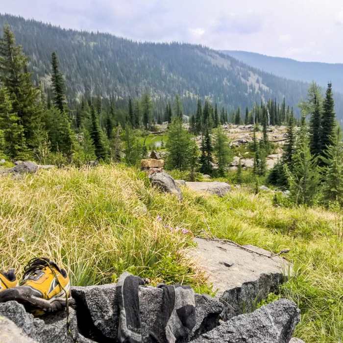 Near Pacific Northwest National Scenic Trail Section 4