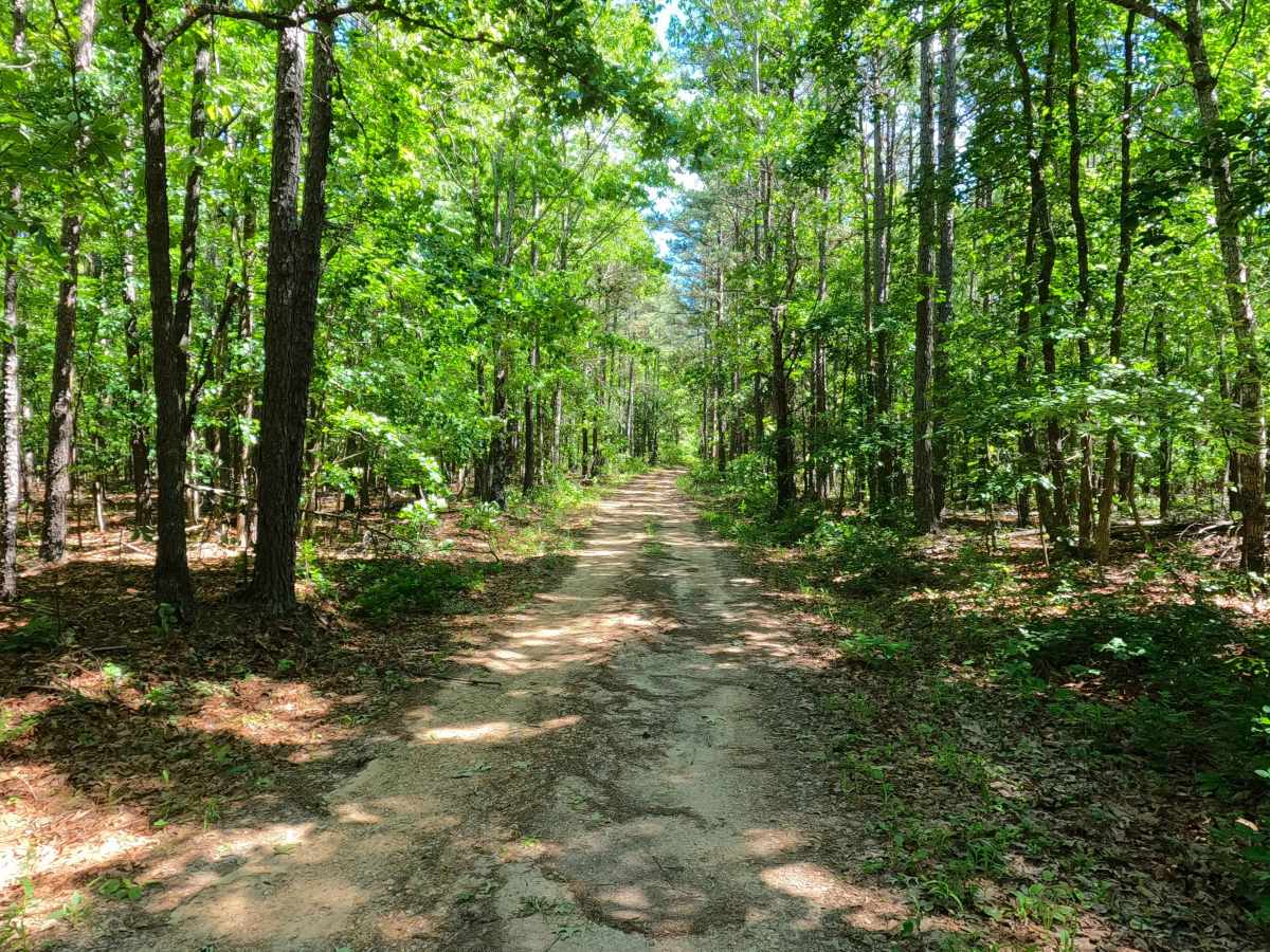 Grassy Hollow - FS 3714 photo 3