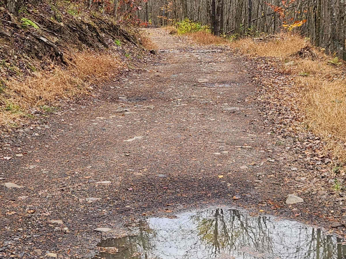 Rock Run - Rock Run Recreation Area trail photo