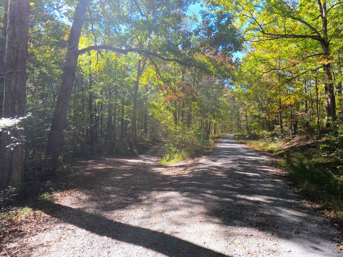 Scout Trail - FS 141 photo 3