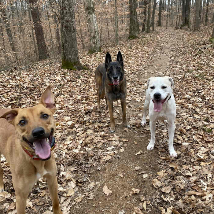 Beginning of the trail. Near War of 1812 Memorial to Tennessee Divide